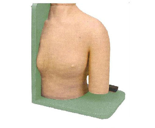 肩关节腔内注射模型CK0133