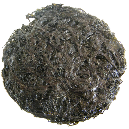 New Pint Purple Vegetable Cuisery Sea Moss Soup Dalian Sea Vegetable No Sand Free Shampoo Roast Purple Vegetable 28 gr X2 bag