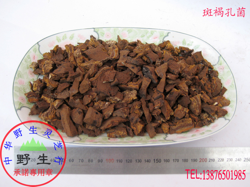 Pure wild Ganoderma lucidum (Inonotonas zebra, cut into pieces, general product) wild promise, shipped from Wuzhishan District