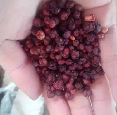 Genuine wild Schisandra Yangshenyi Chinese herbal medicine Schisandra