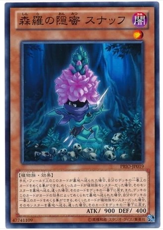 (Wing Tour Card) Game King 808 Senroe's reclusive goldfish grass