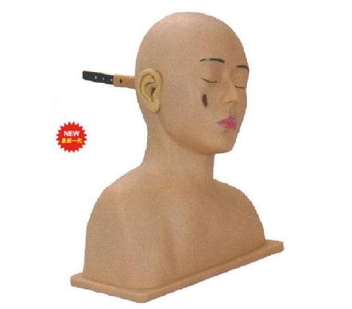 高级耳诊断模型LV42