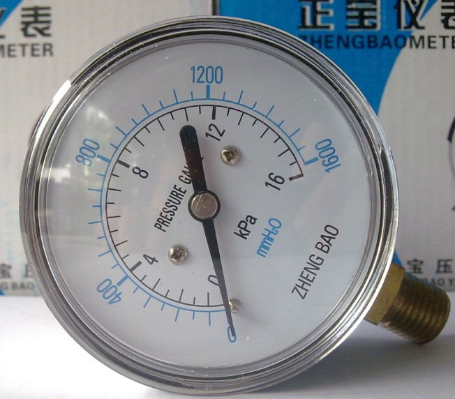 YE60 16Kpa Diaphragm Pressure Gauge Micro Pressure Gauge Shanghai Zhengbao Pressure Gauge Factory