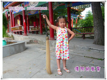 Authentic HORSETAIL whisk Tai Chi whisk Horsetail Buddha dust True horsetail total length 120CM lengthened type