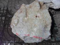 No. 7000 jade raw material bare stone natural raw stone Qinghai stock Kunlun Mountain material white jade 14 26 kg
