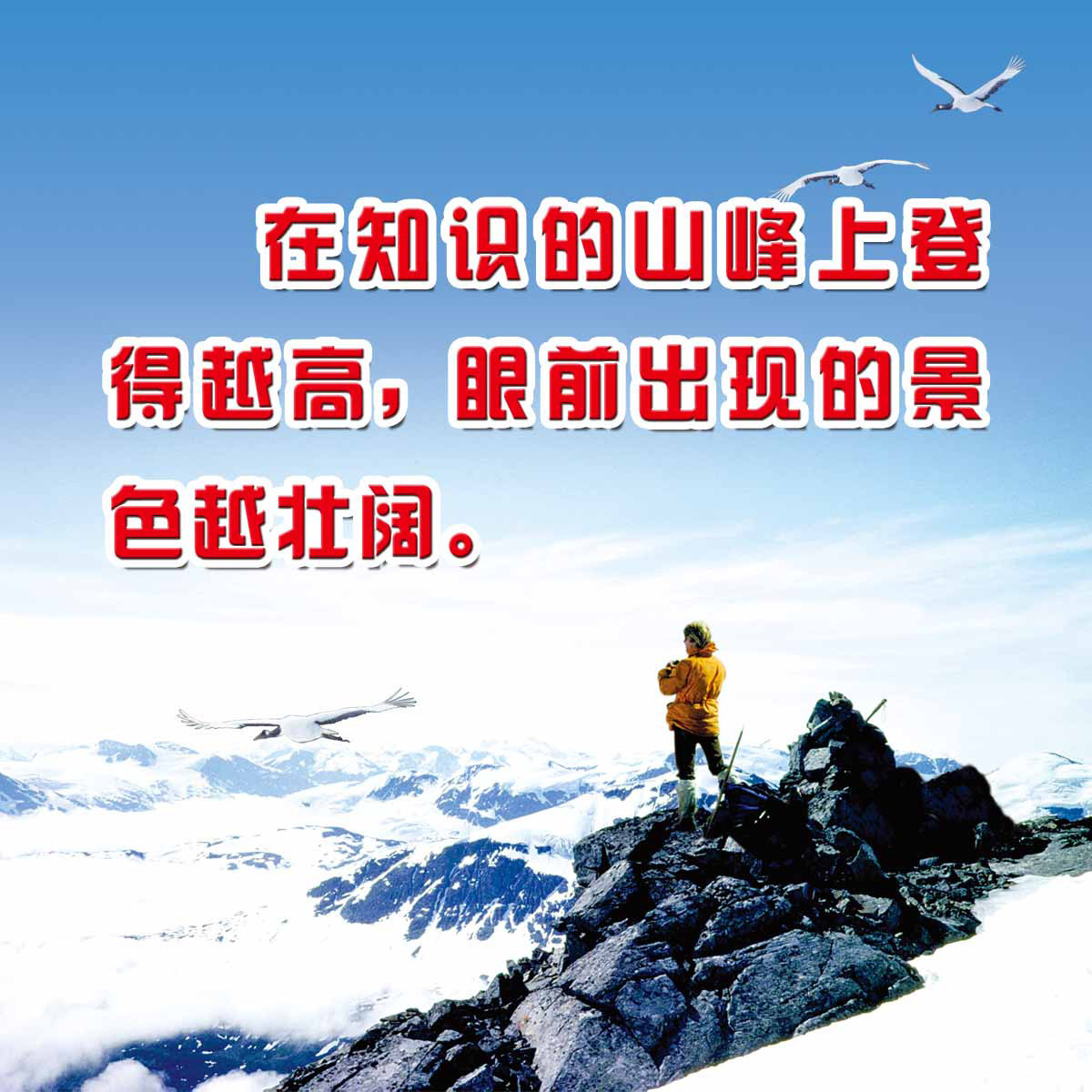 28素材名人名言格言海报展板3474海报印制