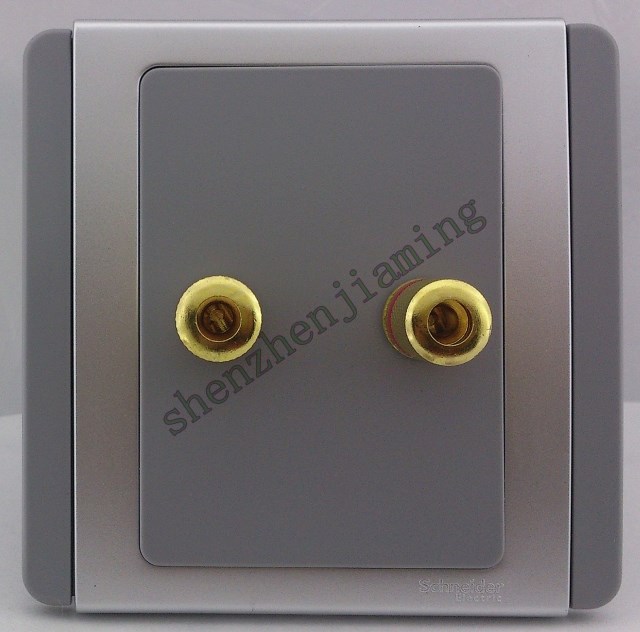 Schneider Qisheng E3000 silver-gray metropolis series audio socket at both ends of the unit