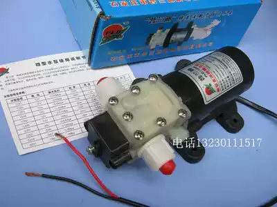 Ultra-low price new Prandi 12V25W DC diaphragm pump self-priming micro water pump