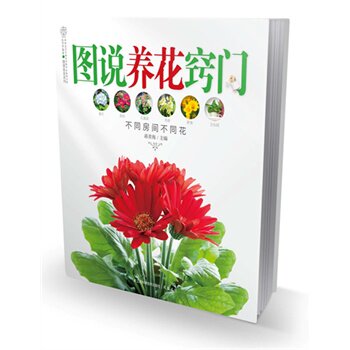 图说养花窍门 正版图书 蒋青海
