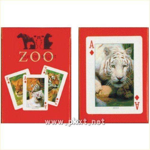 Play in the British Isle of Wight Zoo Poker