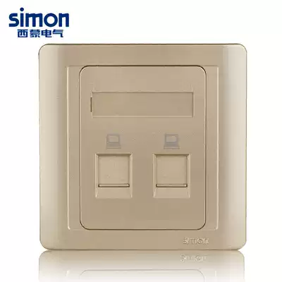 Simon Switch Socket 55 Series Champagne Gold Two Bit Computer Socket N55228S-56