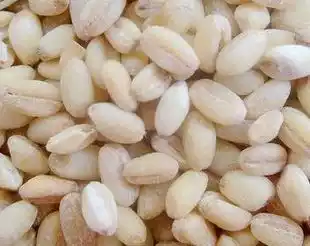 Northeast farmhouse Miscellaneous grain wheat rice wheat kernel rice 500g 5 99 yuan