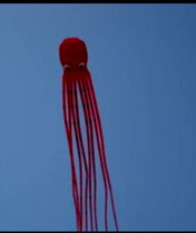 Weifang soft kite 10 m tube octopus kite