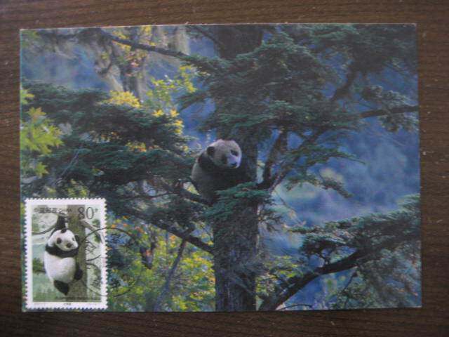 89 years Hong Kong version 2000-3 Wildlife-Panda Limit Sheet 1