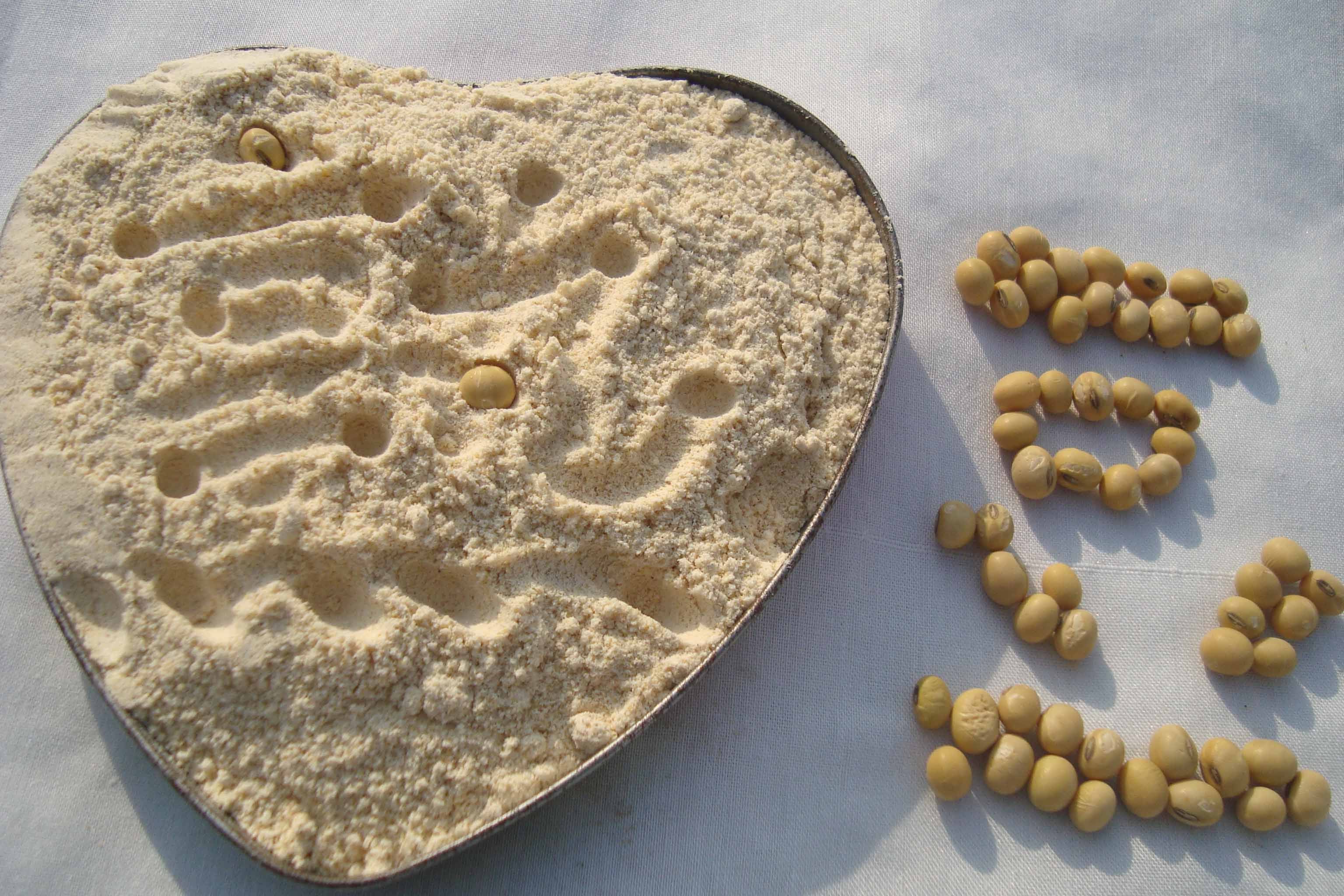 Farm self-grown soybean health powder Cooked soybean powder ready to drink