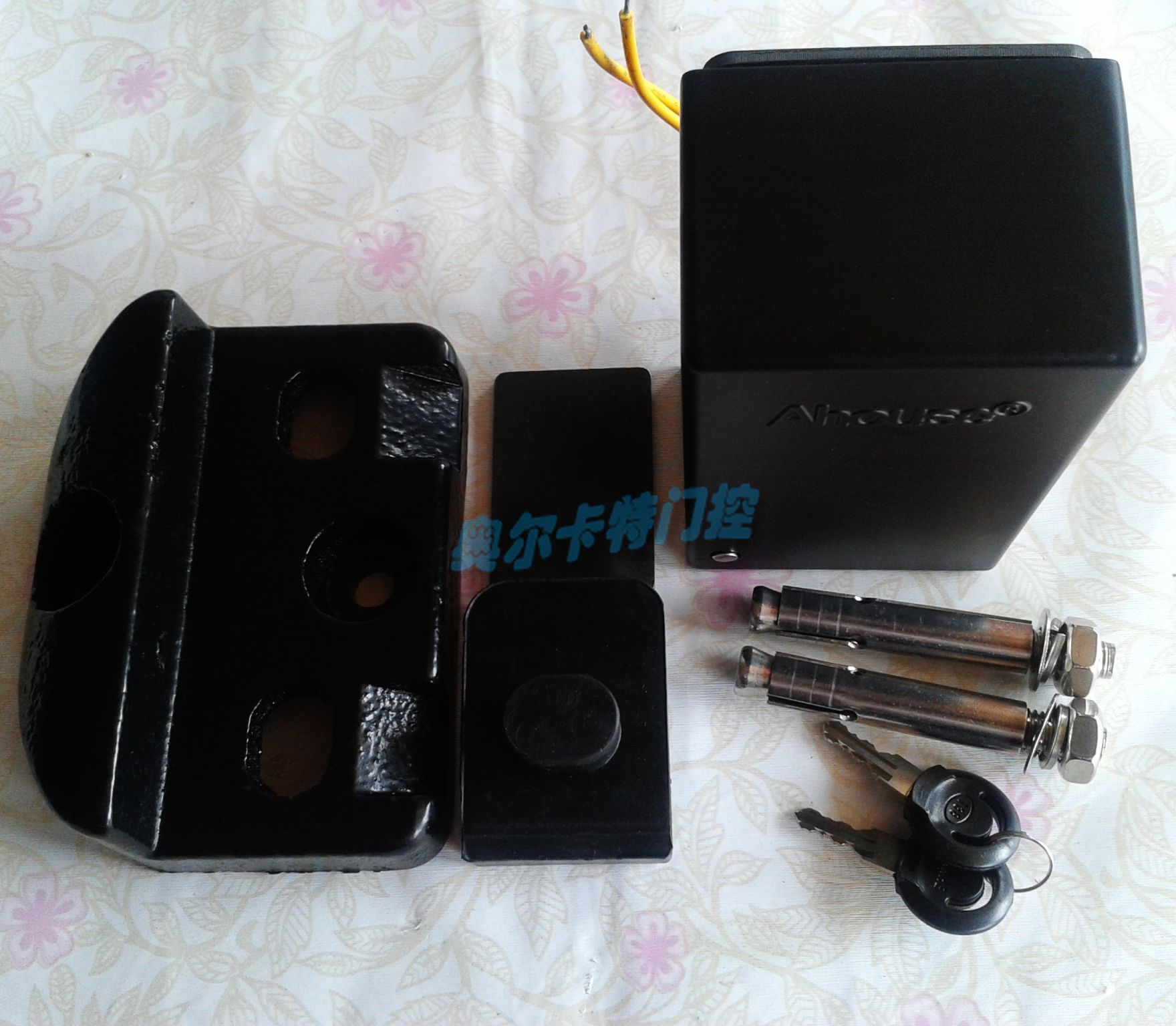 Professional Production Flat Door Electromechanical Lock Magnetic Lock Ahhouse Ansei Electric Control Lock 24V Direct Current Plug DS218