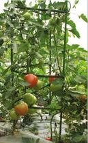 Flower bracket flower pillar tomato holder tomato holder fruit climbing vine with 3 pillars 9 cross arms 3 pairs 3 pairs