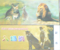 World Large Rare Animal Science Exhibition