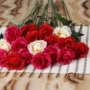 Quà tặng ngày lễ tình nhân Trung Quốc Hoa hồng đơn mô phỏng phòng khách trang trí hoa hồng đơn Mô phỏng hoa hồng đơn hoa giả - Hoa nhân tạo / Cây / Trái cây hoa lan giả cao cấp