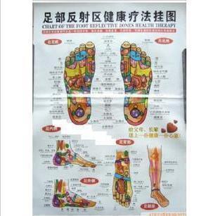 Foot acupoint map foot reflex area wall chart foot massage map pedicure map meridian map 6