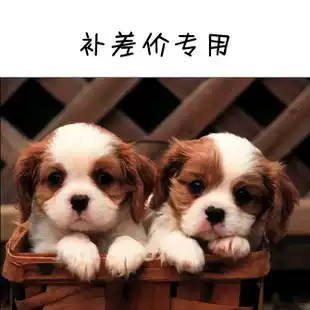 To fill the post of bu you fei mugs