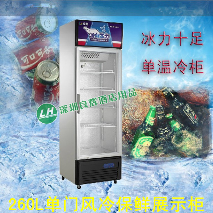 Gold Ling G260L1F Single Door Refrigerated Glass Display Case Commercial Air-cooled Single Warm Vertical Preservation Cabinet Special Price