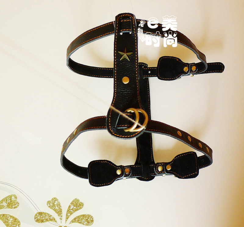 Set for dog holding baby bag Chest Holding Baby Bag Chain Bull Dog Haschic Medium Dog Comfort Dog Collar Dog Vest-Style Cuddling Bag