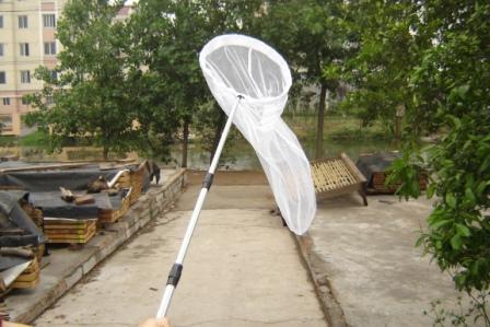 (Personal configuration) Insect needle three-stage wing spreader and other equipment