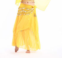 Belly dance dance skirt performance long dress Indian dance four-piece skirt hanging coin dance dress chiffon big swing skirt C00007