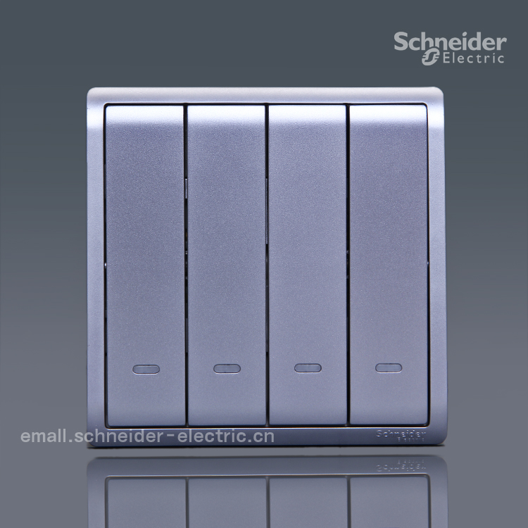 Schneider Pieno Funshion 10AX 250V Quad Double Switch with Fluorescent Indicator (Lavender Silver)