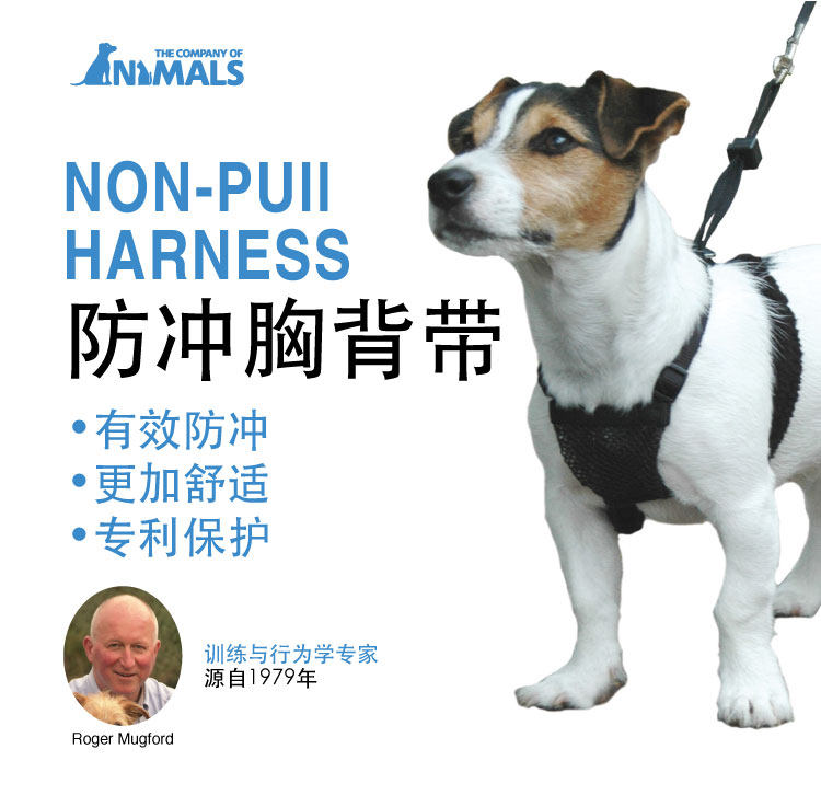 British coa Hardy explosion-proof chest strap comfortable and safe-training chest strap dog bulldog golden retriever