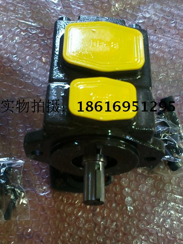 Professional production of PVD1-14-F-2R-U -10 vane pumps