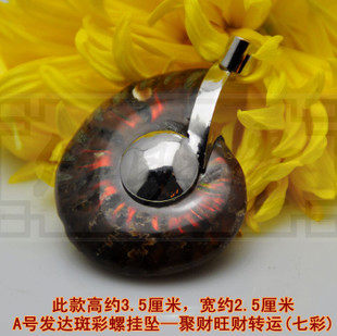 修明堂 李居明吉祥物催财吊坠 A号发达斑彩螺挂坠 聚财旺财转运