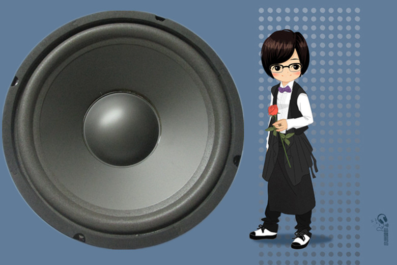 10 inch 140 magnetic positive edge flying Music Middle woofer speaker speaker speaker 10 inch horn