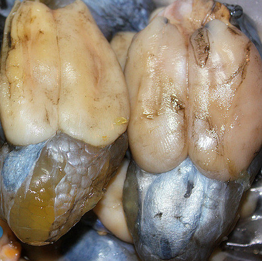 Wenzhou specialty seafood fish cream eggs cuttlefish eggs squid eggs with food salty