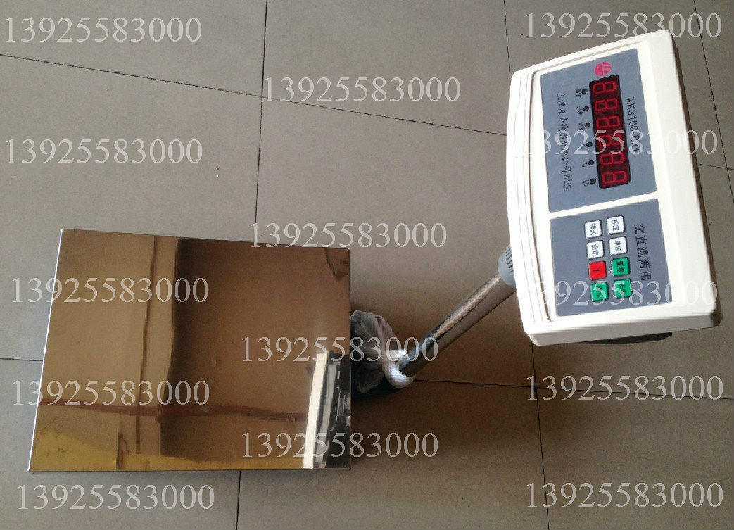 Manufacturer Direct sales Shanghai Yousheng Large screen 6V floor type electronic meter Rescale electronic table Libra 60kg 5g
