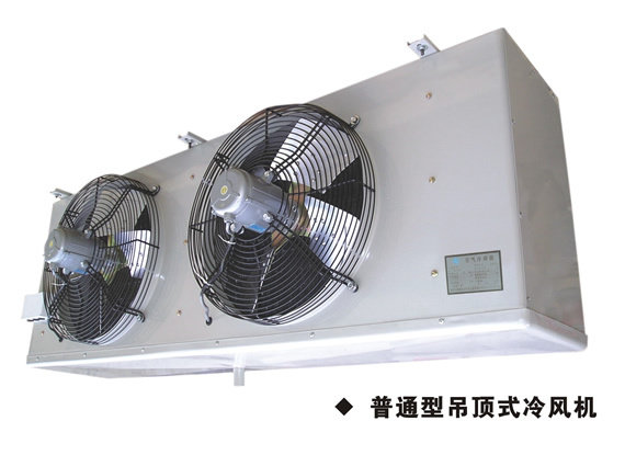 The More Ice DD Series Suspended Ceiling Ventilator Refrigeration Depot With Air-cooled Evaporator Various Sizes Model Refrigerated Depot Ventilator