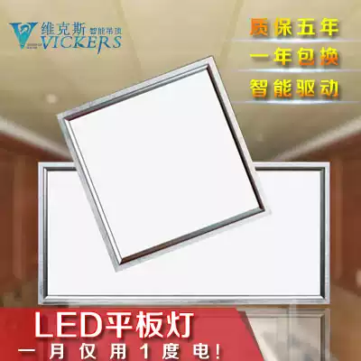 Integrated ceiling LED lighting art ceiling kitchen and bathroom lamp 300X300 flat lamp export EU
