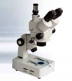XTL-3300 Continuous Zoom Stereo Microscope
