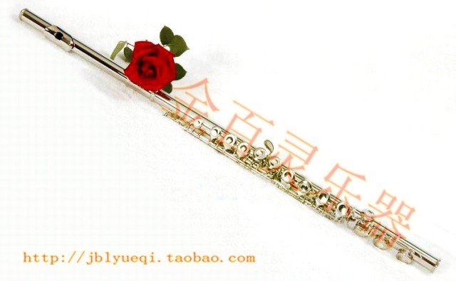 Golden Peppers Long Flute Instrument Beginner examination General 17 holes opening and closing hole E key C tone silver plated long flute