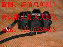  Seagull DF-200 type camera(no lens)is out 