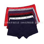 Tian Tailang 3009 SpongeBob Đồ lót nam Modal U Convex Rắn màu Boxer Fat Fat Quần lót