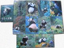 Chinas giant panda postcard 10 sets of a set of Sichuan Ethnic Publishing House