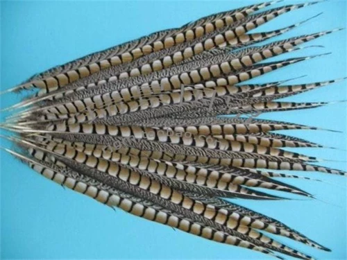 Импортная натуральная бронзовая курица -хвост -опер