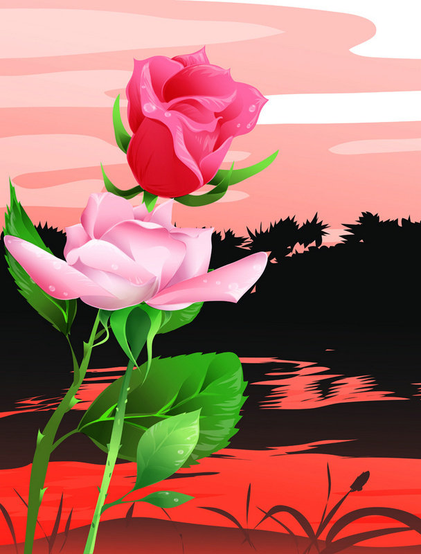 ������ҵ��þ���Ͻ�ֻ�������ӡд����������sg084