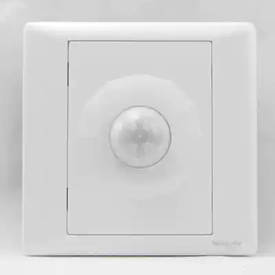 Schneider Ruyi series infrared human body sensor switch EV51PIR can only load incandescent lamps