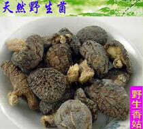 Tongjiang wild shiitake mushrooms dried goods Super no sulfur-free Shannon home meat thick dried mushroom mushrooms winter mushroom local specialty soup 500 bags