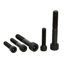 DIN912 12 9 high strength inner hexagonal screw inner hexagon screws M6 *L 100 copies only