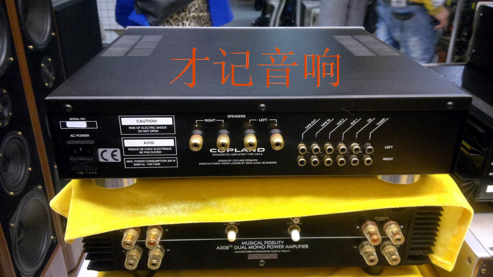 Купить hi fi Усилитель мощности Дания Копленд Аарон Копленд csa8 ...