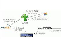 专业cacti 系统监控平台-代监控-给予监控(提供一年监控)